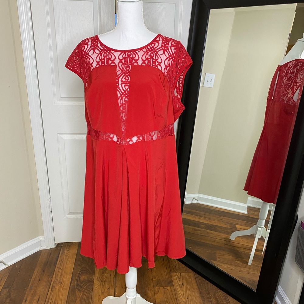 Sheer Lace Panel Dress